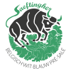logo_saeftingher